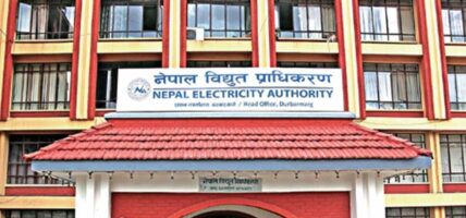 विद्युत् प्राधिकरण सञ्चालकमा पराजुली र केसी नियुक्त