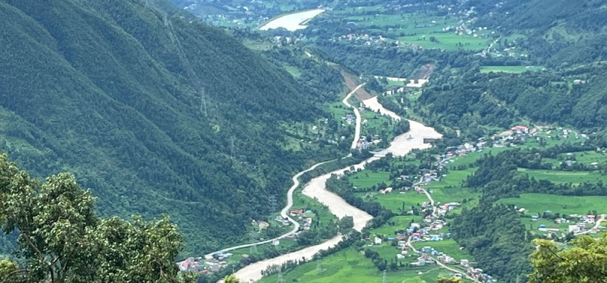 image image