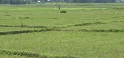 सार्वजनिक जग्गाको अतिक्रमण हटाइने