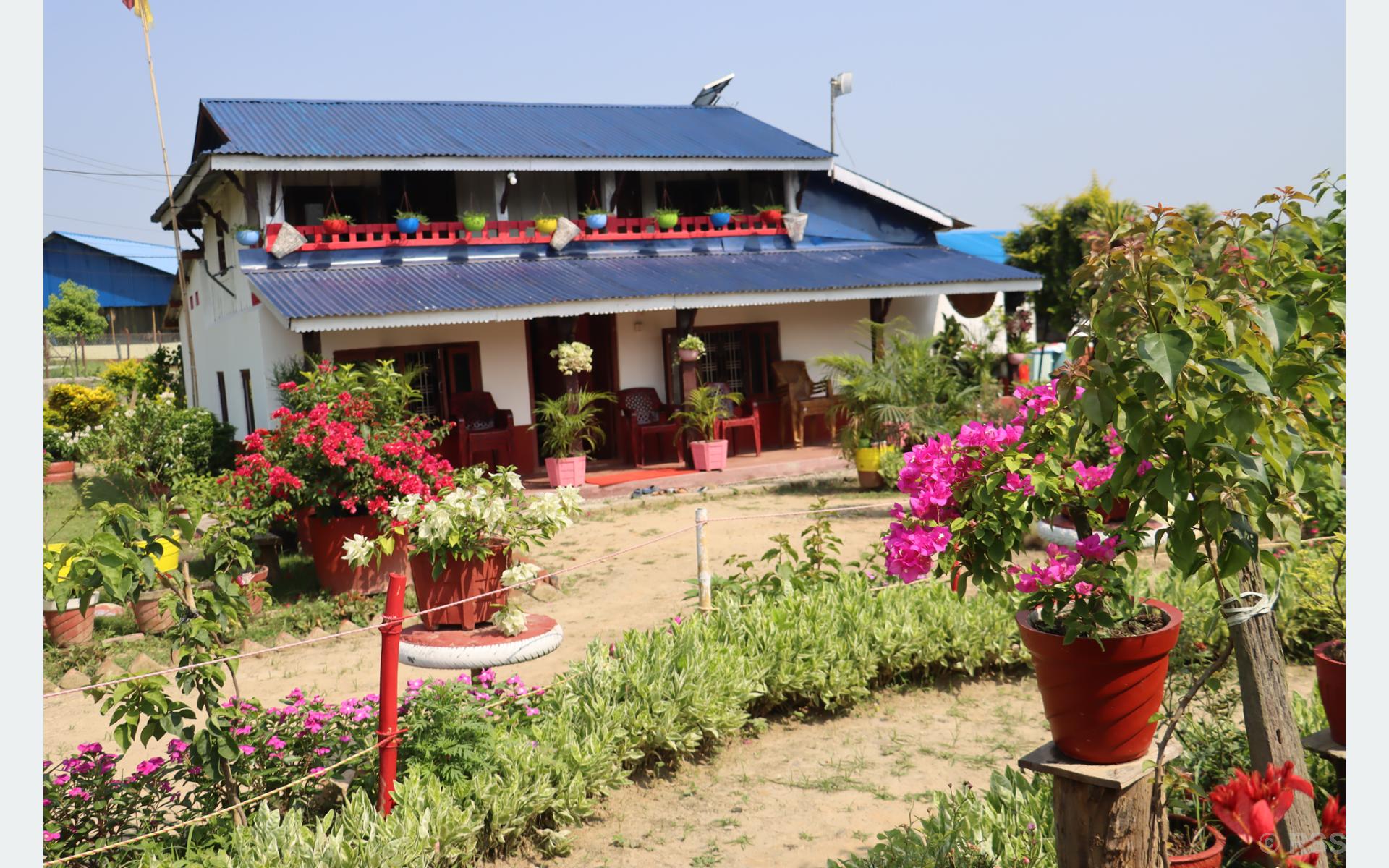 image image