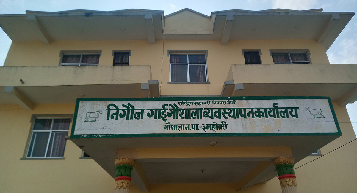 image image