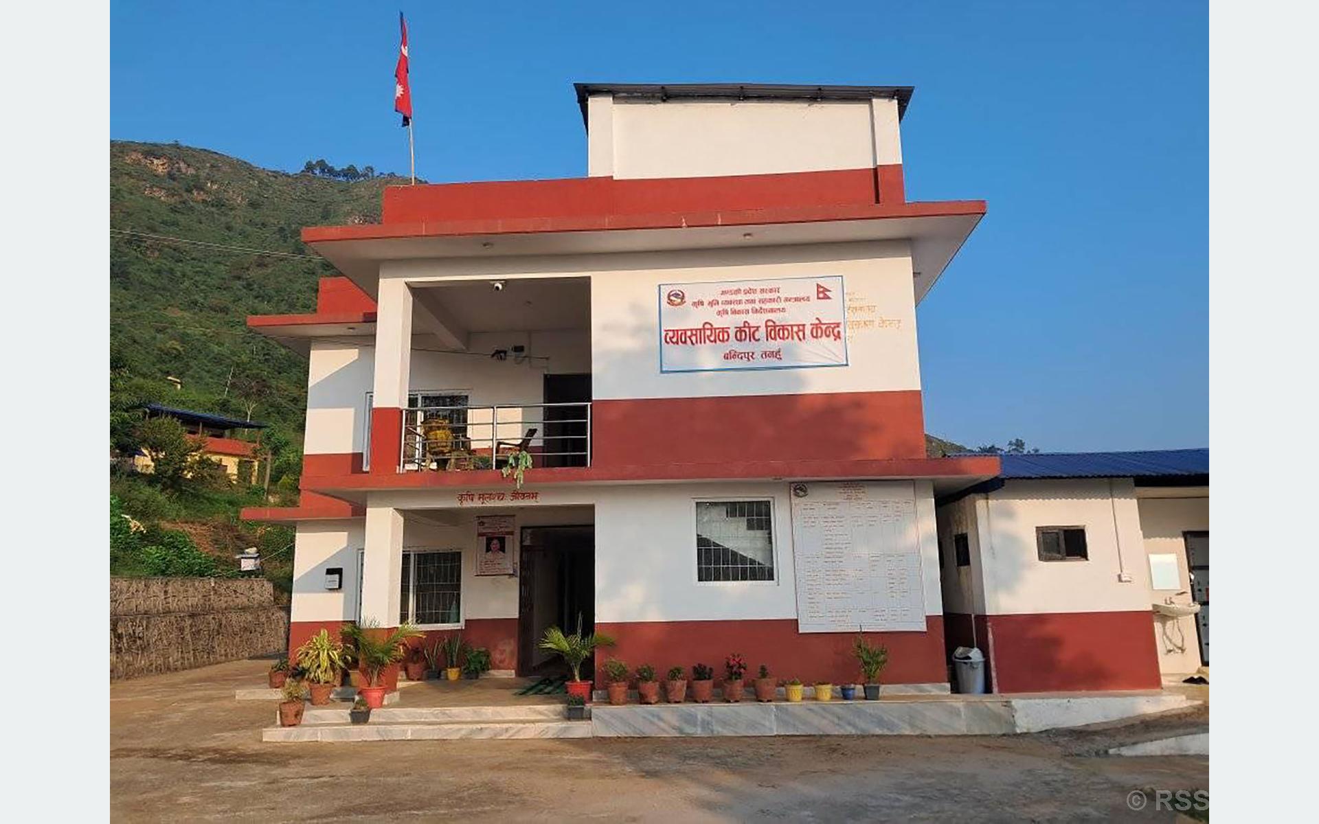 image image