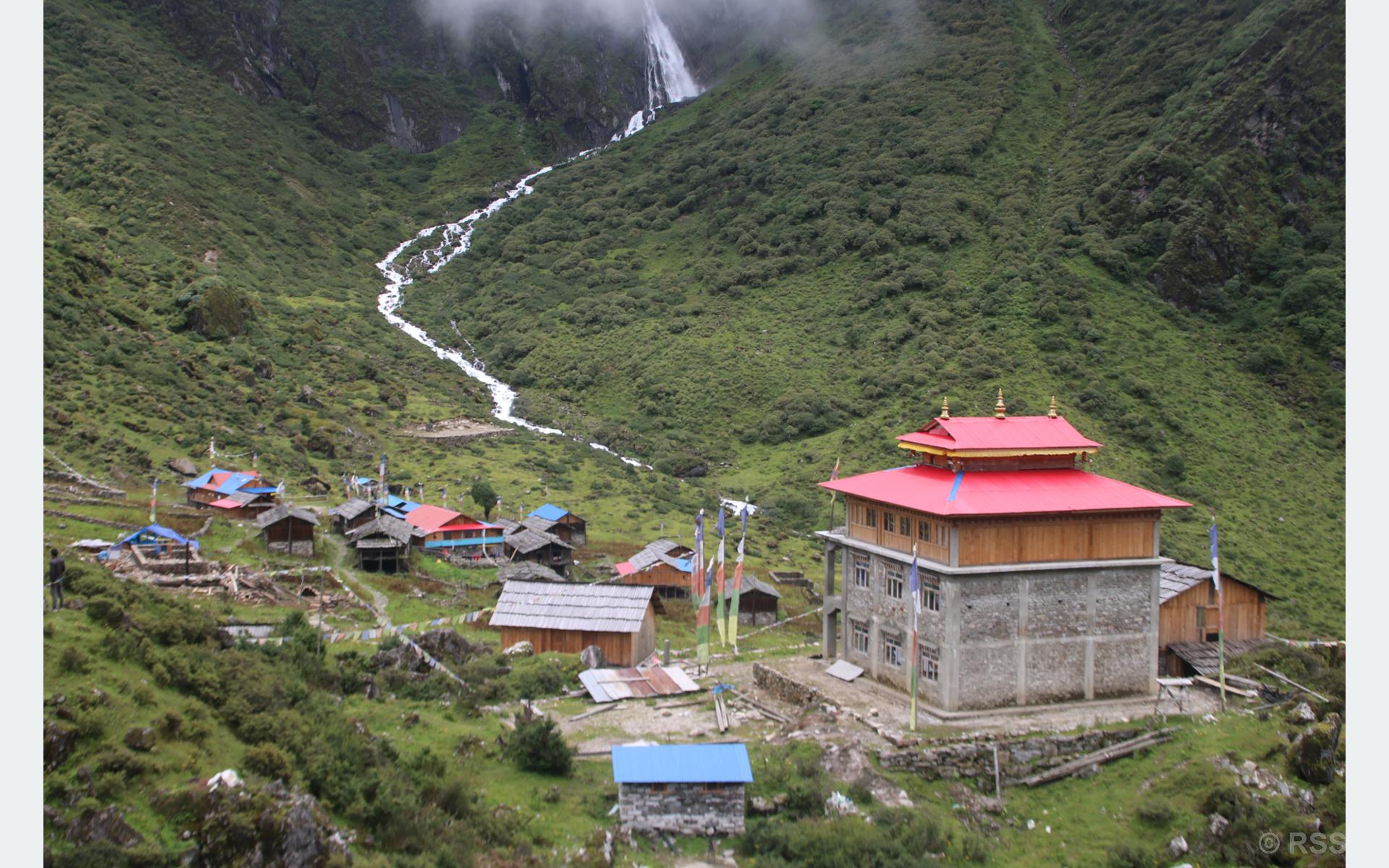 image image