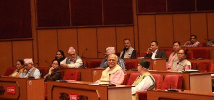 ‘विद्यालय शिक्षा विधेयक शीघ्र आउँछ’