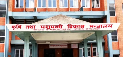 घातक विषादी नियन्त्रणमा कडाइ गर्न स्थानीय तहलाई अनुरोध