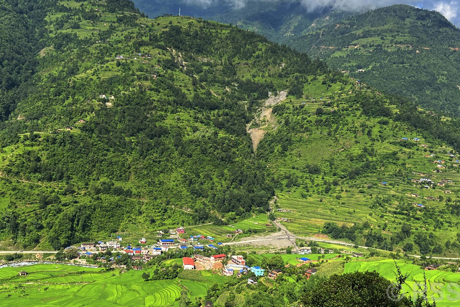 image image