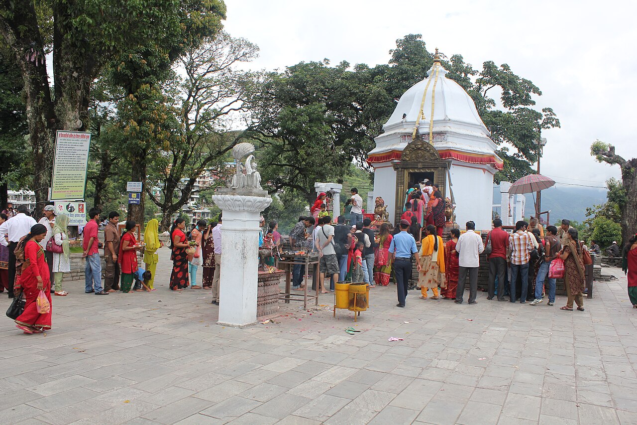image image