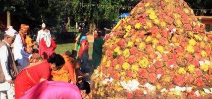 कार्तिक शुक्ल प्रतिपदाः गोरु, गोवर्द्धन र हलि पूजा