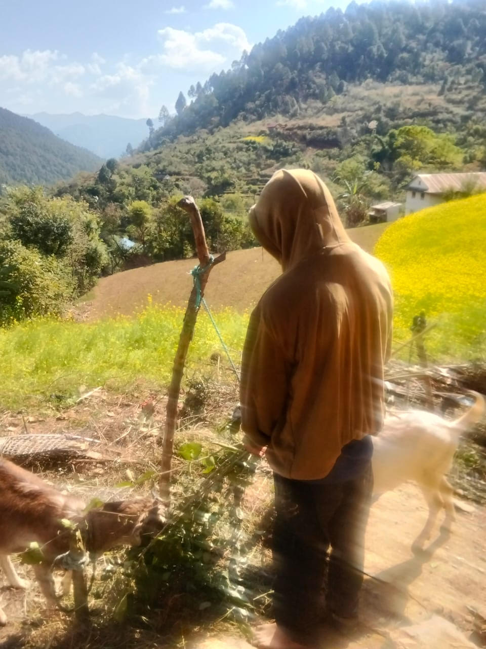image image