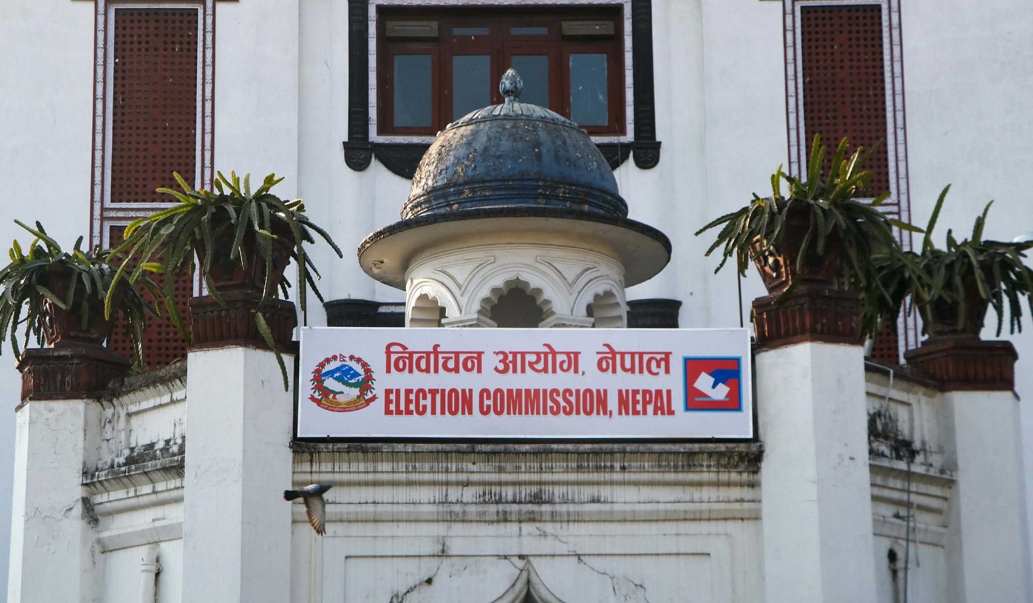 image image