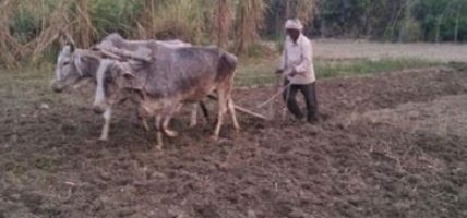 मध्यपूर्वमा द्वन्द्व, असर नेपाली किसानलाई
