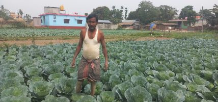 तरकारी खेतीले चिनिएको राधानगर गाउँ