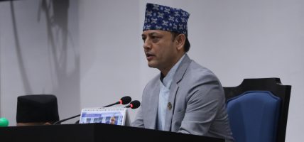 संसद्मा संख्याका आधारमा भेदभाव हुँदैन : सभामुख अर्याल