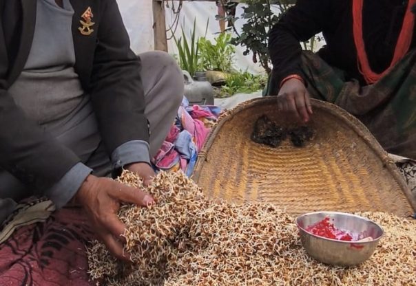 सांस्कृतिक पर्वः ‘चैत बारुवाँ, सोरुवाँ र बिसुवाँ’