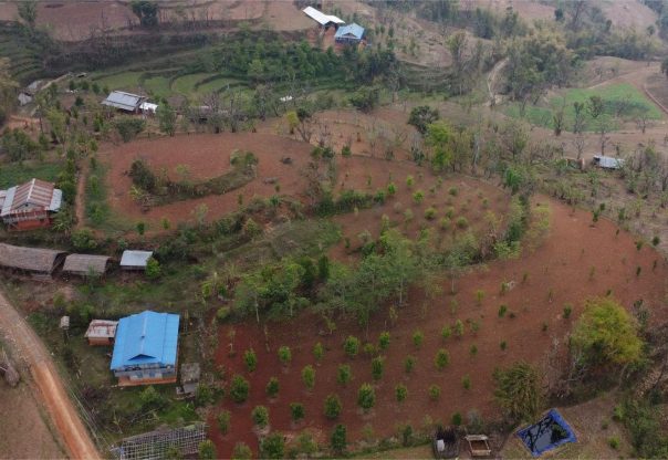 लुङ्गिनमा सुन्तलाको सुनौलो भविष्य: परम्परागत खेती छाड्दै किसानको नयाँ यात्रा