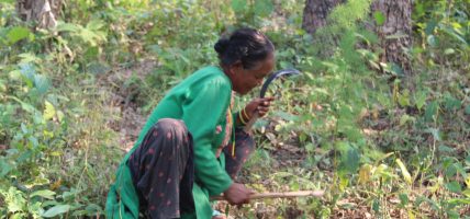 संस्कृति मात्र होइन, प्रथाजनिक अभ्यास