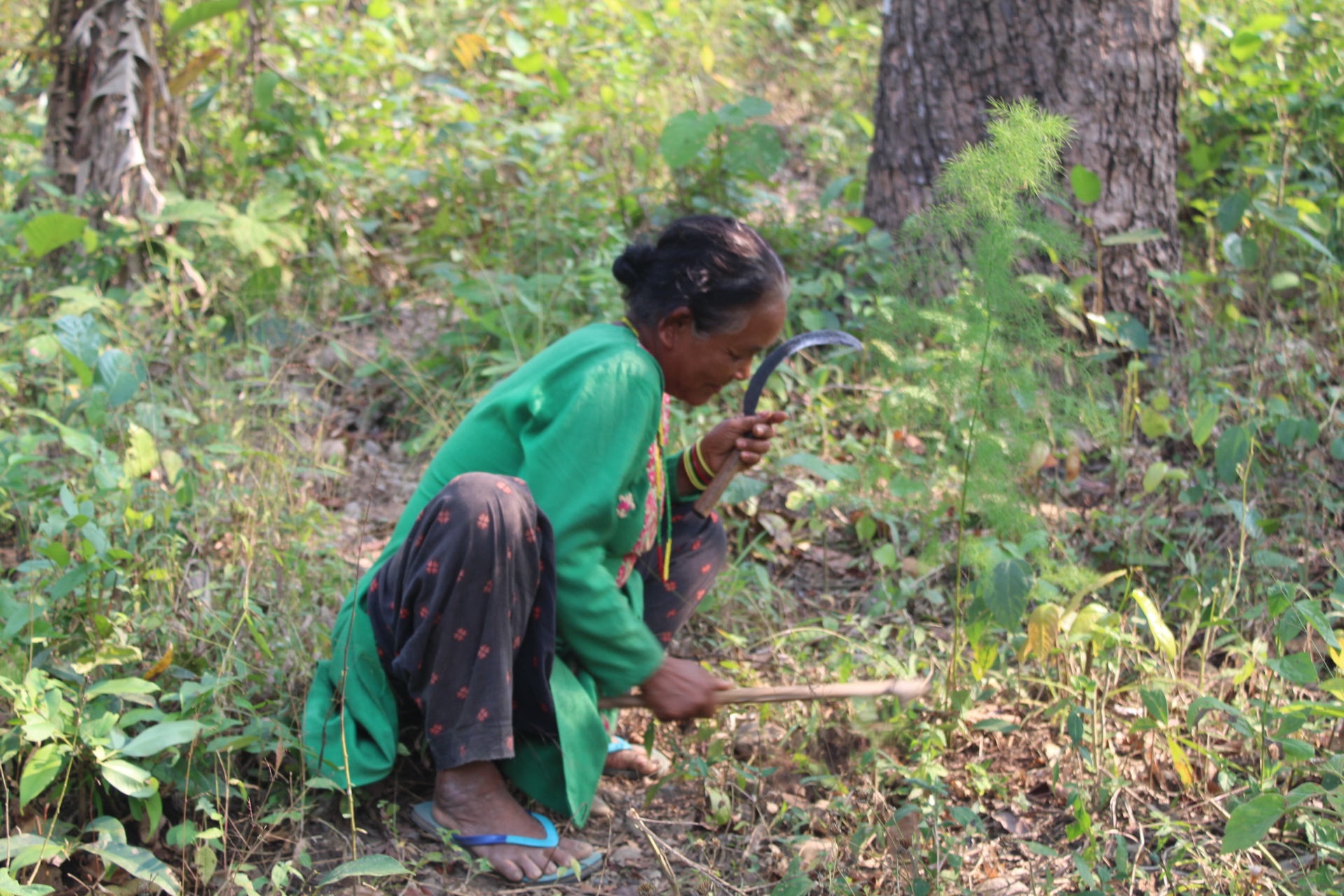 संस्कृति मात्र होइन, प्रथाजनिक अभ्यास