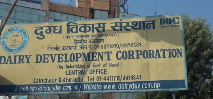 डिडिसीद्वारा दूध किसानलाई १२ करोड रुपैयाँ भुक्तानी