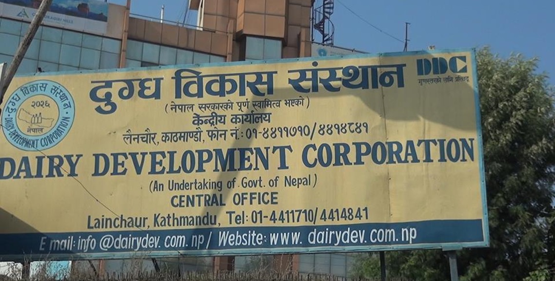 डिडिसीद्वारा दूध किसानलाई १२ करोड रुपैयाँ भुक्तानी