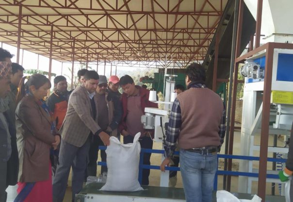 पाँच वर्षदेखि बन्द प्राङ्गारिक मल उद्योग : सपना देखियो, सञ्चालन भएन