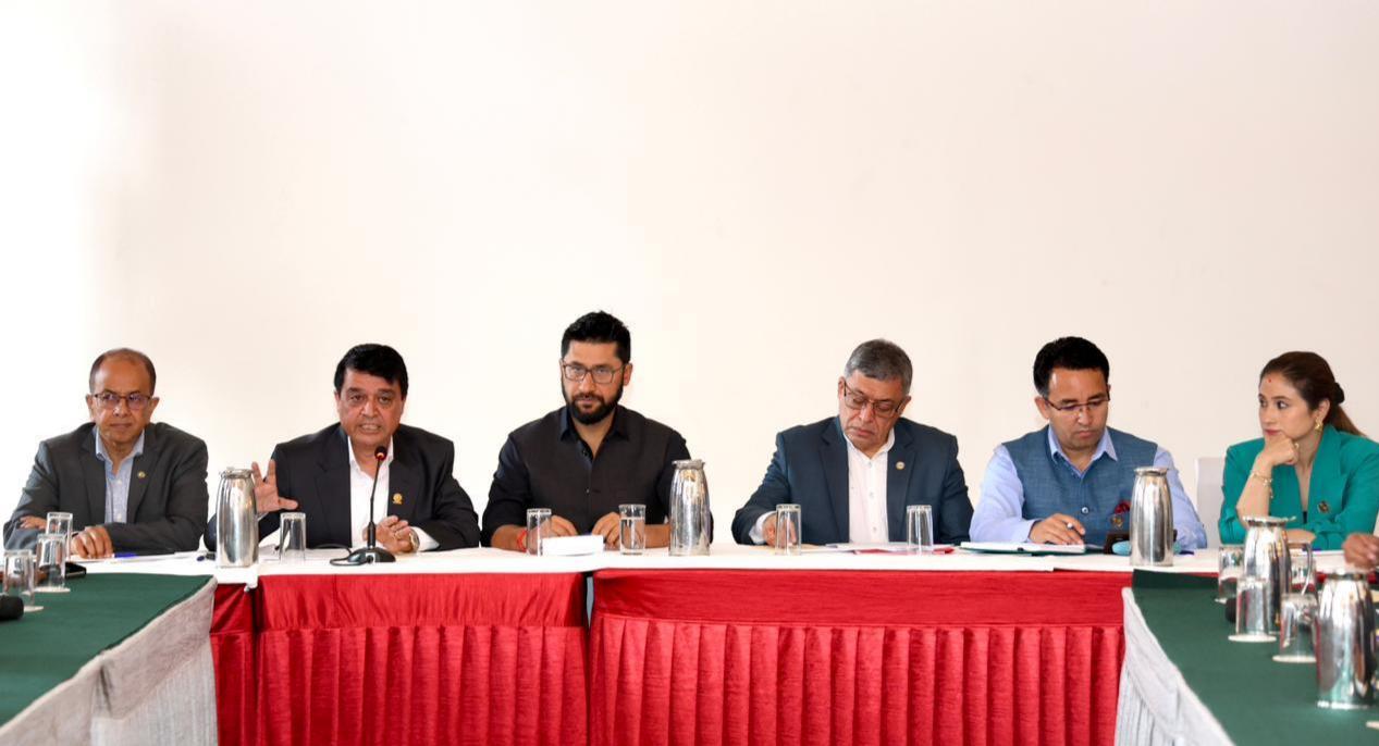 सरकारले व्यवसायीलाई दुःख दिँदैनः सभापति लामिछाने