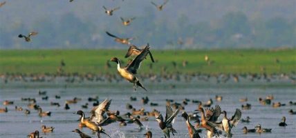 चरा संरक्षणसँगै पर्यटन प्रवद्र्धनमा जोड