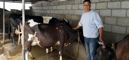 खाडीबाट फर्केर गाईपालनः मासिक दुई लाख आम्दानी