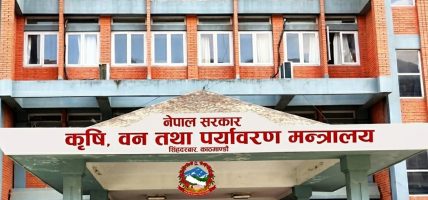 बाली लगाउनुअघि नै समर्थन मूल्य तोक्ने व्यवस्था लागू बाली लगाउनुअघि नै समर्थन मूल्य तोक्ने व्यवस्था लागू