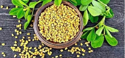 स्वास्थ्यका लागि निकै लाभदायक र बहुगुणी खाद्यान्न मेथी