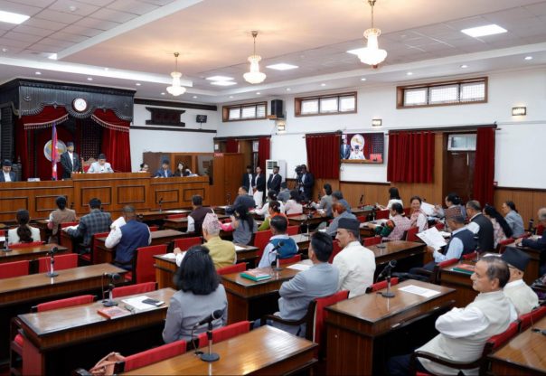 विस्थापित सुकुम्बासीलाई खान, बस्न र औषधापचारको व्यवस्था गर्न माग