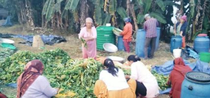 गुन्द्रुकको स्वादमा महिलाको सफलता, गाउँमा आत्मनिर्भरताको नयाँ कथा गुन्द्रुकको स्वादमा महिलाको सफलता, गाउँमा आत्मनिर्भरताको नयाँ कथा