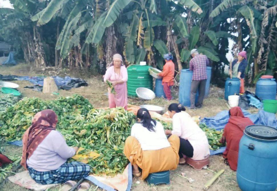 गुन्द्रुकको स्वादमा महिलाको सफलता, गाउँमा आत्मनिर्भरताको नयाँ कथा गुन्द्रुकको स्वादमा महिलाको सफलता, गाउँमा आत्मनिर्भरताको नयाँ कथा