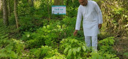बन्दीपुरमा मानकाजीको वन