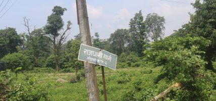 चुनावअघि नै राजधानी आए हुन्थ्यो !