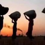 हरवाचरवा मुक्तिको ४ वर्षः समुदाय अझै पहिचानबाट वञ्चित हरवाचरवा मुक्तिको ४ वर्षः समुदाय अझै पहिचानबाट वञ्चित