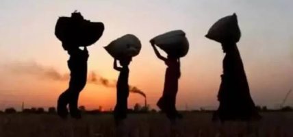 हरवाचरवा मुक्तिको ४ वर्षः समुदाय अझै पहिचानबाट वञ्चित हरवाचरवा मुक्तिको ४ वर्षः समुदाय अझै पहिचानबाट वञ्चित