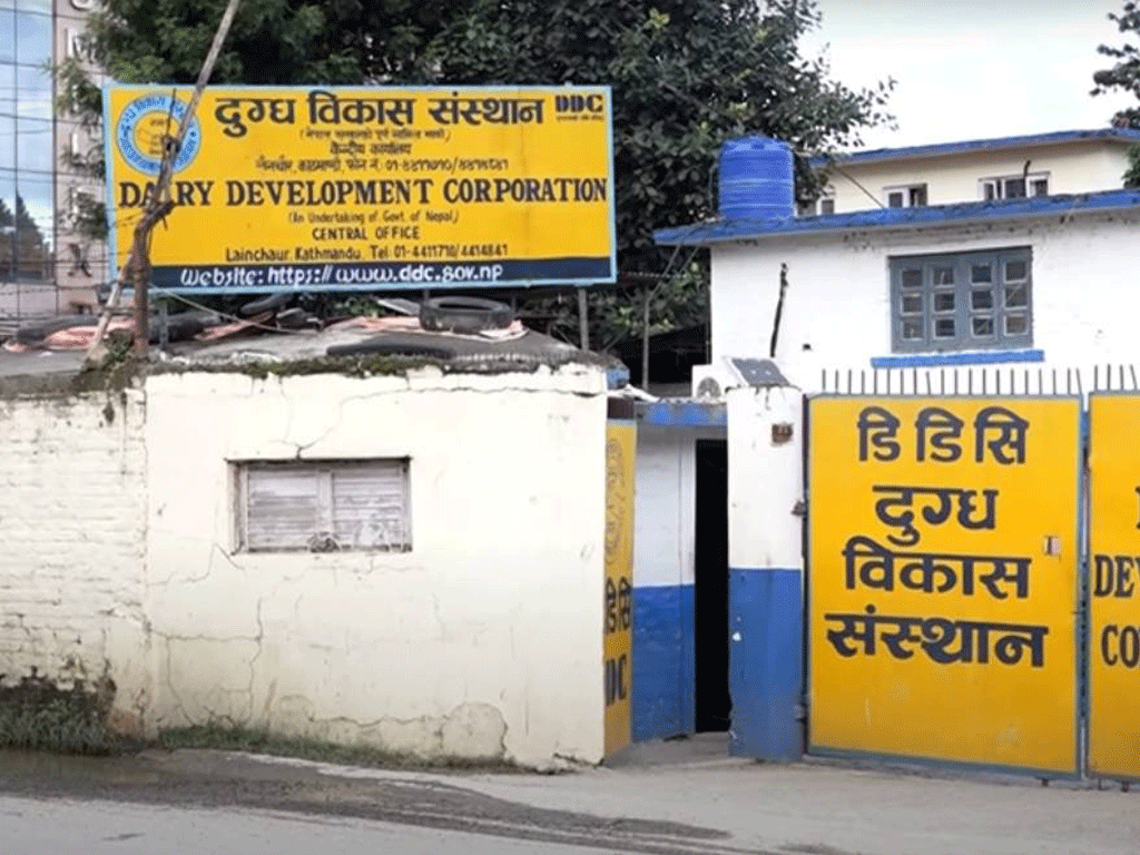 डिडिसीको  दैनिक १ लाख ५० हजार लिटर दूध संकलन गर्ने लक्ष्य डिडिसीको लक्ष्य’