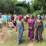 हराउँदै गएको सीप जोगाउन बाँस रोप्दै थारू समुदाय