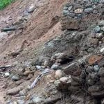 झापामा २५ विपद्का घटना, १९ लाख बढीको भौतिक क्षति
