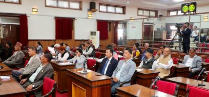 राष्ट्रियसभा बैठकः ‘एकताबद्ध भएर राष्ट्रिय विपत्तिसँग जुधौँ’