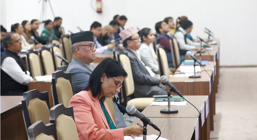 दातृ निकायबाट  प्राप्त राहत सामग्री तत्काल पीडितलाई प्रदान गर्न सरकारसँग माग