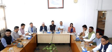 विपद्पछि काम गर्न दुई संयन्त्र बन्दै