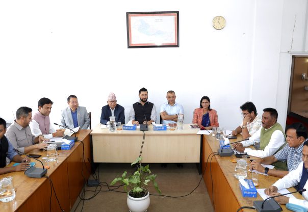 विपद्पछि काम गर्न दुई संयन्त्र बन्दै