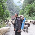 भेडाच्यांग्रा बिक्री गर्न महिनौ पैदल यात्रा भेडाच्यांग्रा बिक्री गर्न महिनौ पैदल यात्रा