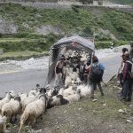 सहरको स्वादका लागि दसैँतिहारबाट टाढा सहरको स्वादका लागि दसैँतिहारबाट टाढा