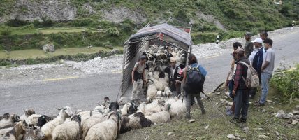सहरको स्वादका लागि दसैँतिहारबाट टाढा सहरको स्वादका लागि दसैँतिहारबाट टाढा