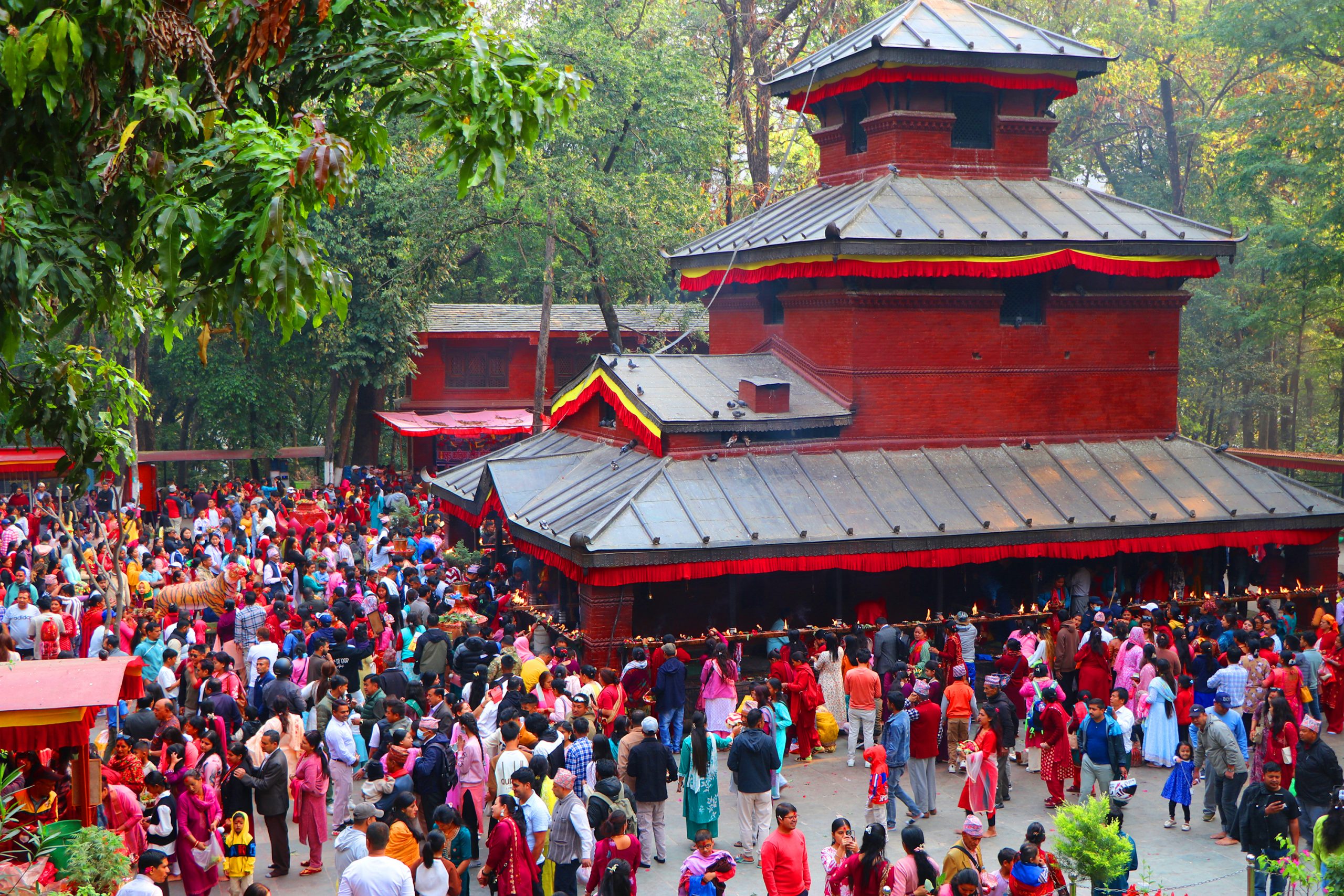 नवरात्रको दोस्रो दिन: देशभरका शक्तिपीठ एवं देवी मन्दिरमा भक्तजनको लर्को नवरात्रको दोस्रो दिन: देशभरका शक्तिपीठ एवं देवी मन्दिरमा भक्तजनको लर्को