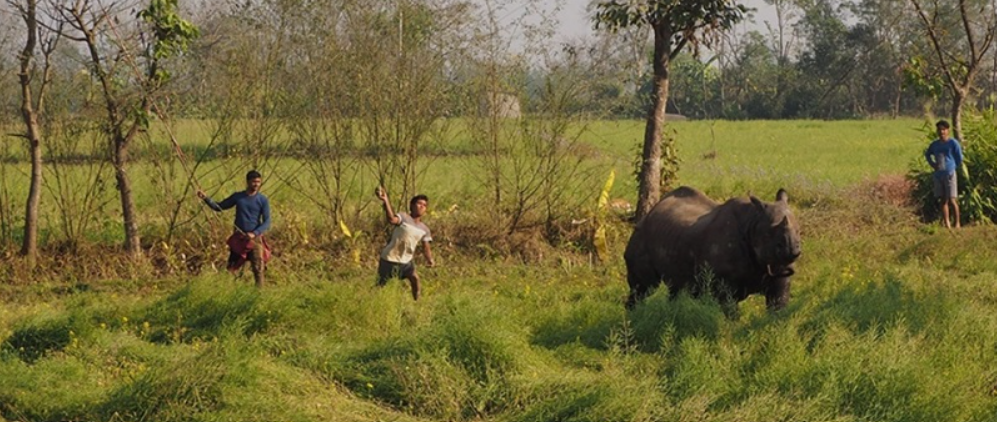 मानव–वन्यजन्तु द्वन्द्वले सहअस्तित्वको चुनौती