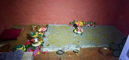 हनुमानढोकाको दसैँघरमा राखियो जमरा हनुमानढोकाको दसैँघरमा राखियो जमरा