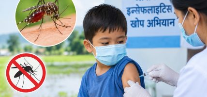 जापानीज इन्सेफलाइटिसबाट १३१ संक्रमित, २८ जनाको मृत्यु